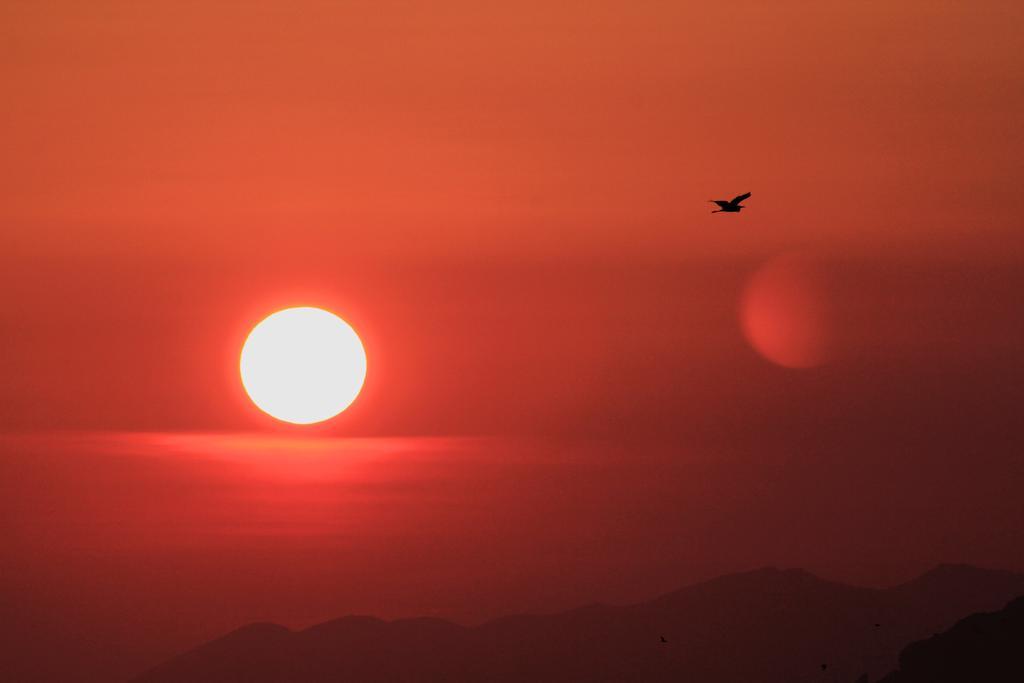 Abita Appartamenti ตราปานี ภายนอก รูปภาพ